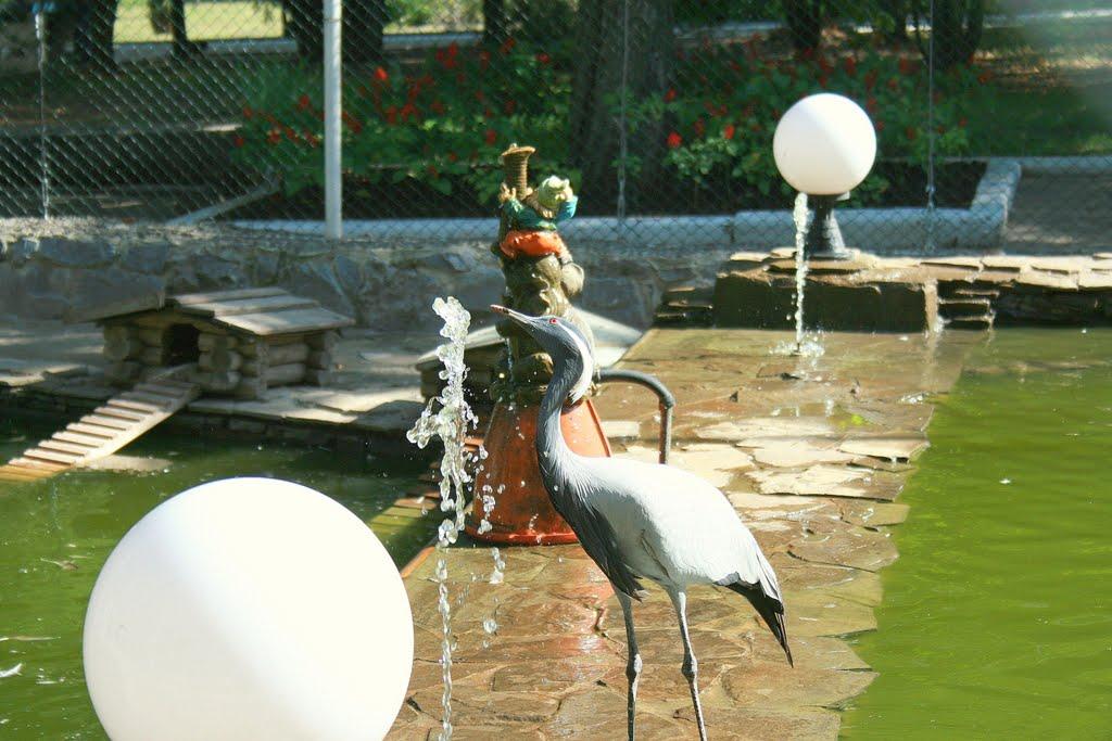 Докучаєвськ з panoramio.com - Докучаевск