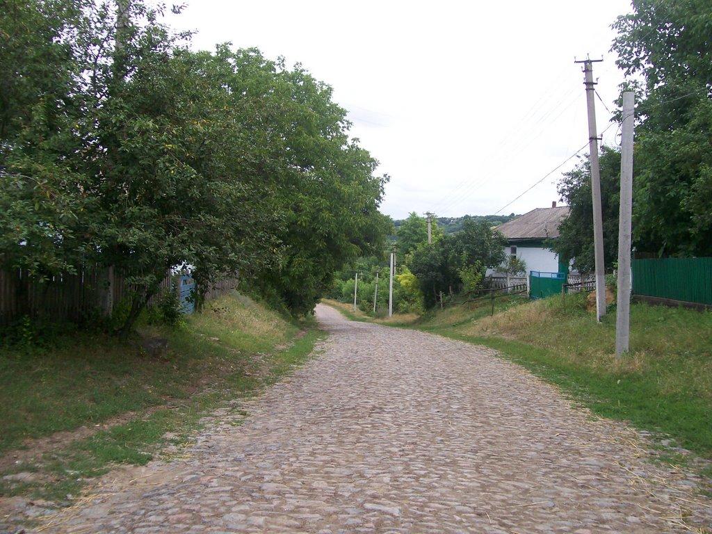 Бандурове з panoramio.com - Бандурове