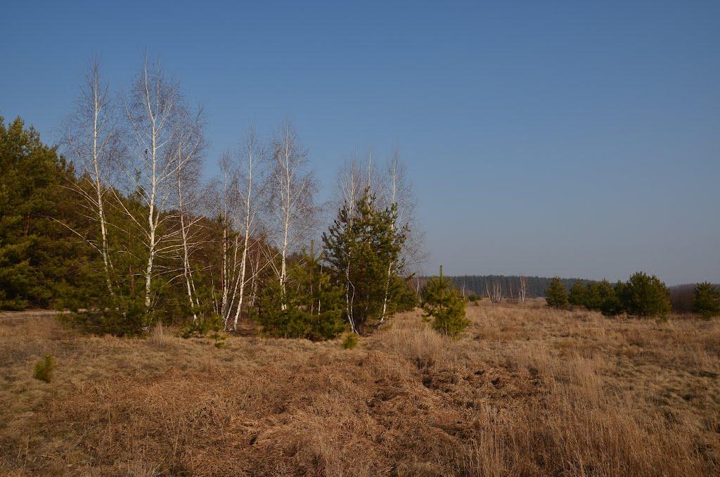 Бахметівка з panoramio.com