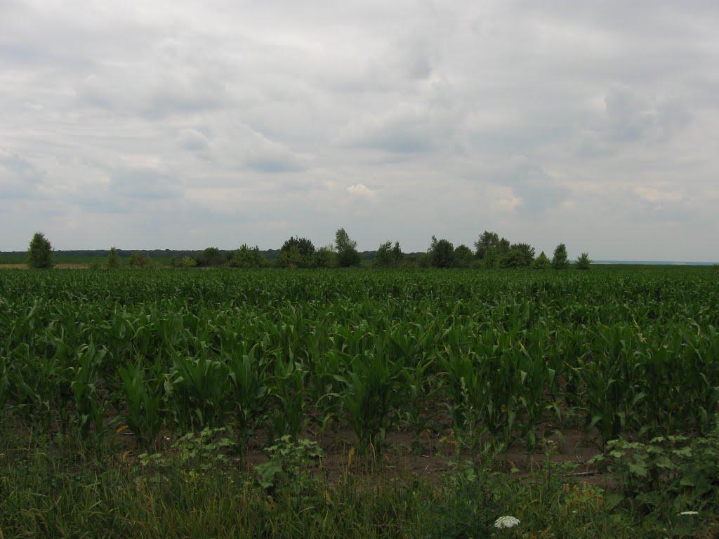 Гранів з panoramio.com - Гранів