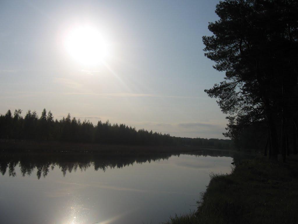 Куземин з panoramio.com - Куземин