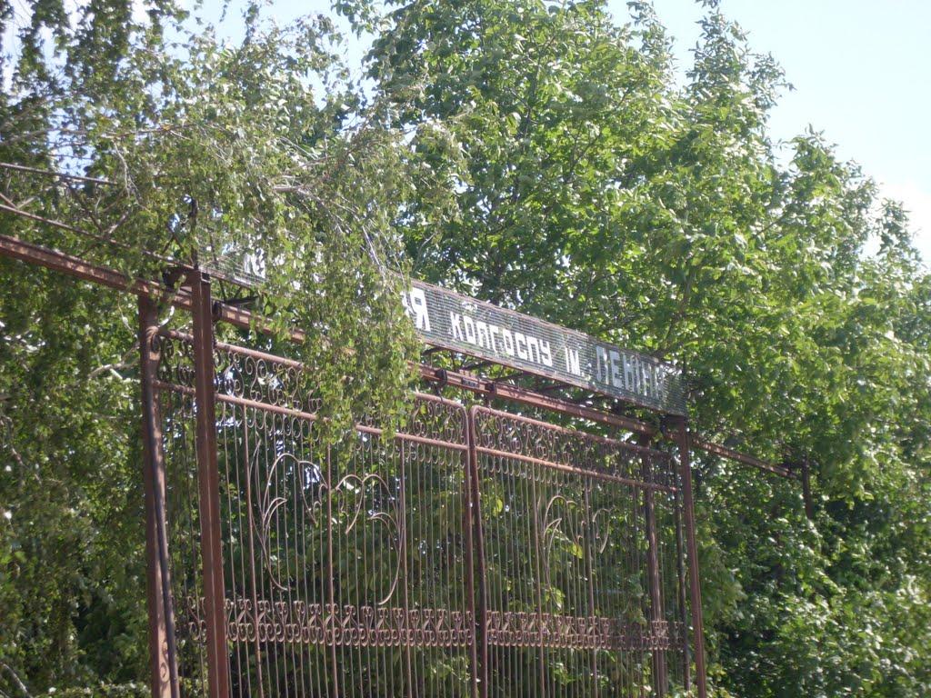 Степанівка з panoramio.com - Степанівка