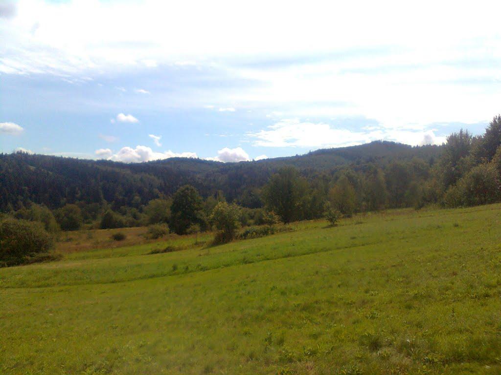 Вигода з panoramio.com - Вигода