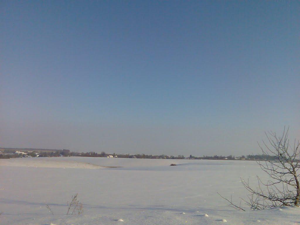 Вербородинці з panoramio.com - Вербородинці