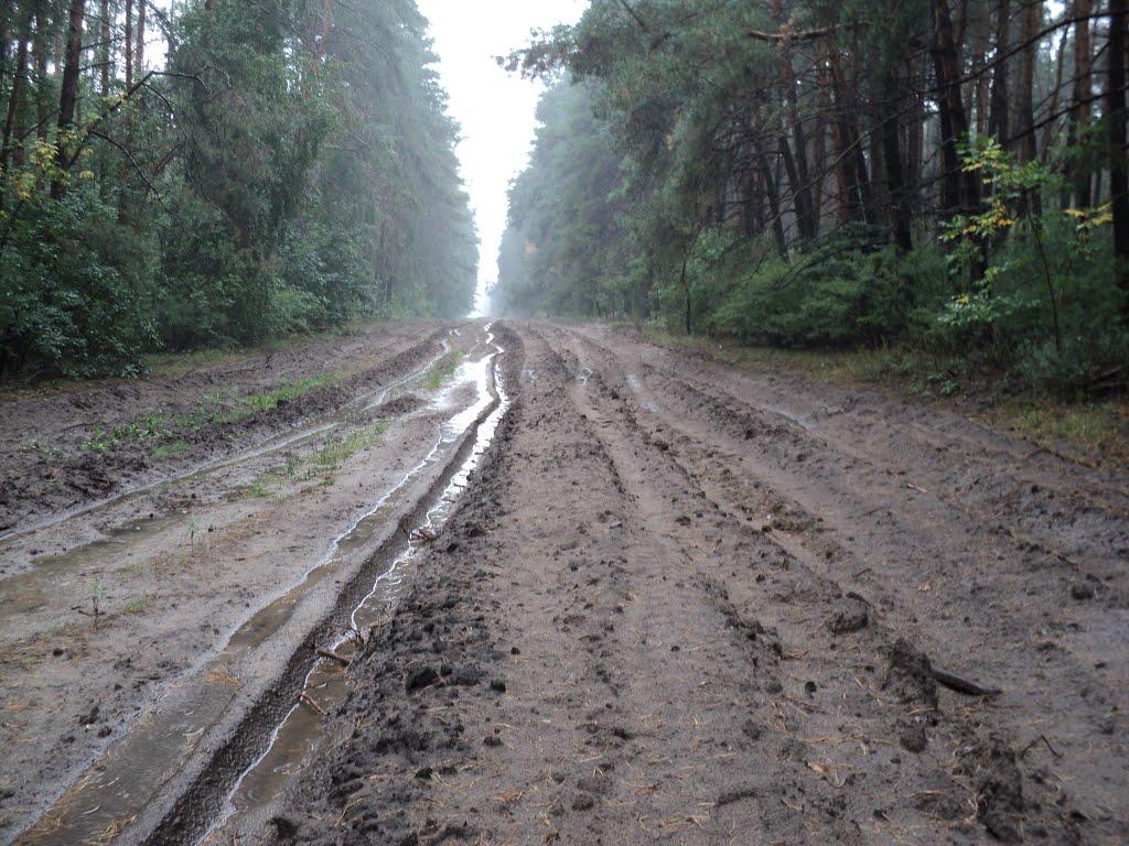 Червоноармійське Перше з panoramio.com - Червоноармійське Перше