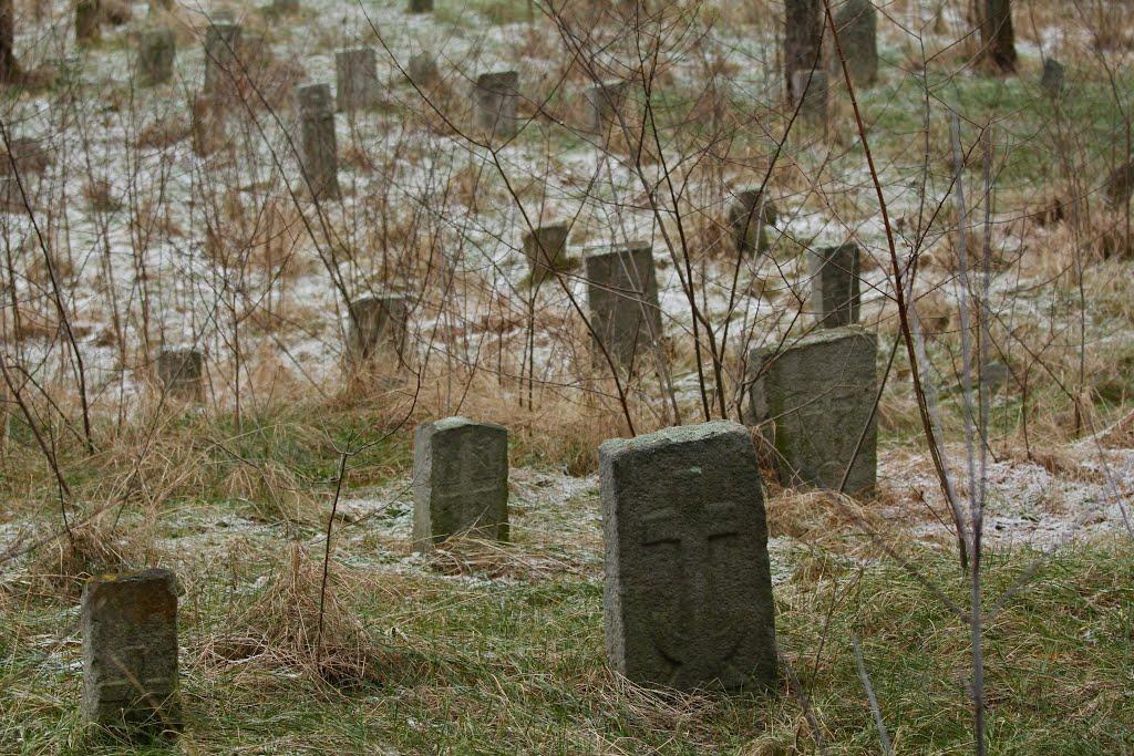 Трахтемирів з panoramio.com - Трахтемирів