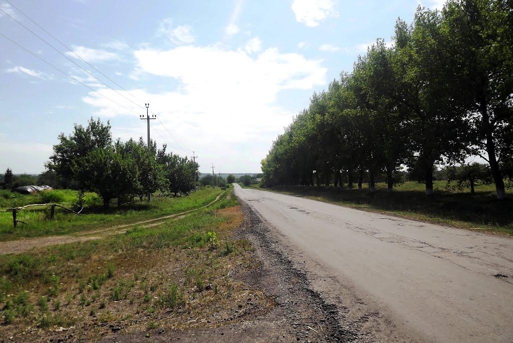 Мартоноша з panoramio.com - Мартоноша