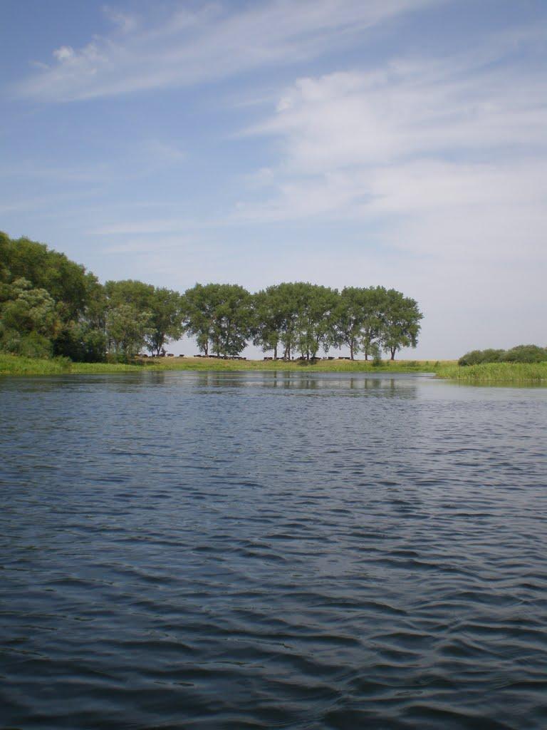 Манухівка з panoramio.com - Манухівка