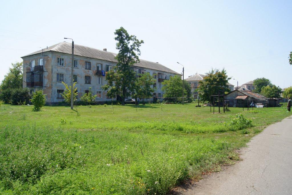 Мартинівське з panoramio.com - Мартиновское