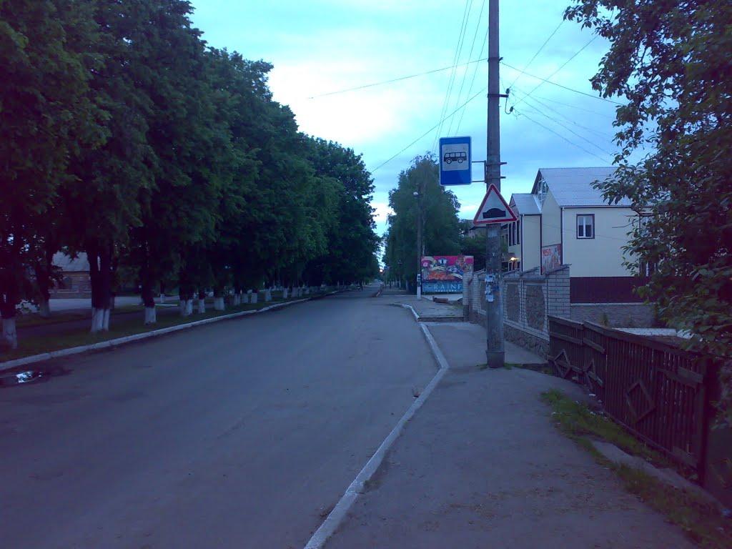 Христинівка з panoramio.com - Христиновка