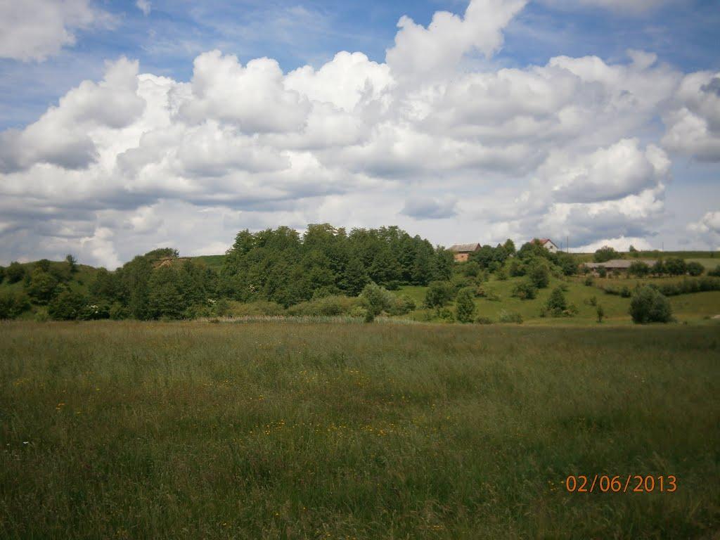 Берездівці з panoramio.com - Берездівці