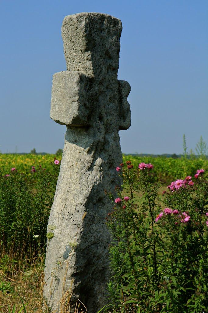 Копачів з panoramio.com - Копачов