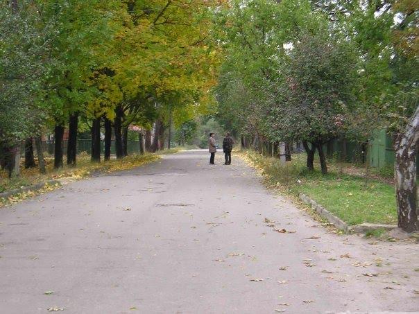 Нова Березівка з panoramio.com - Нова Березівка