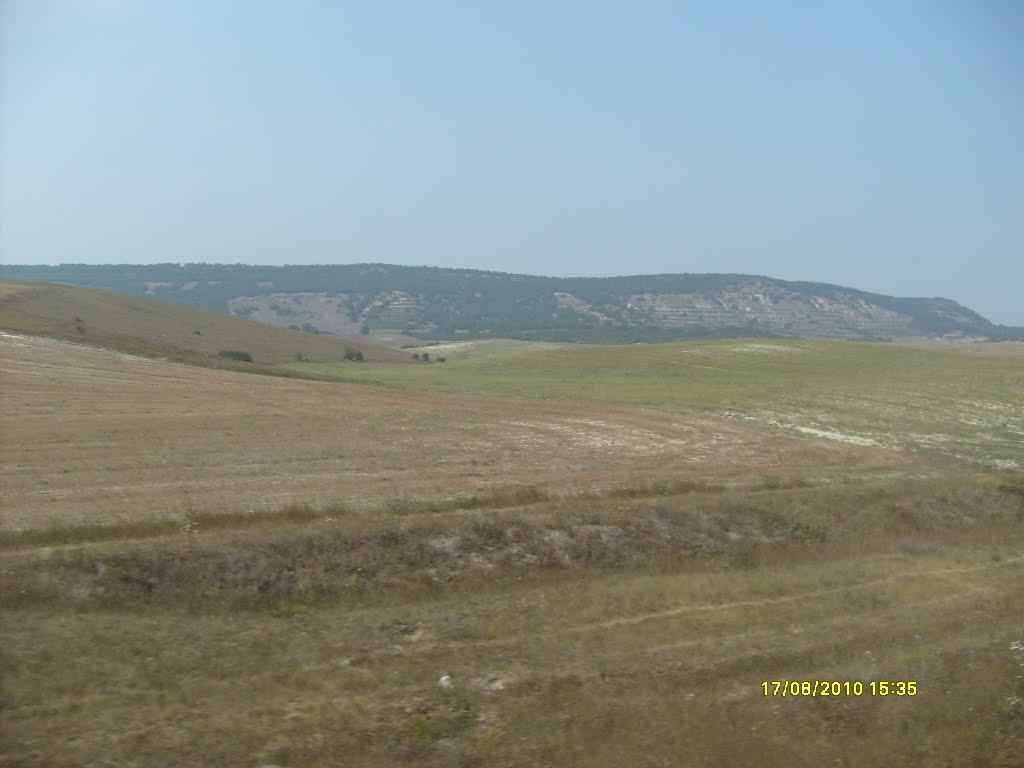 Сирень з panoramio.com - Сирень