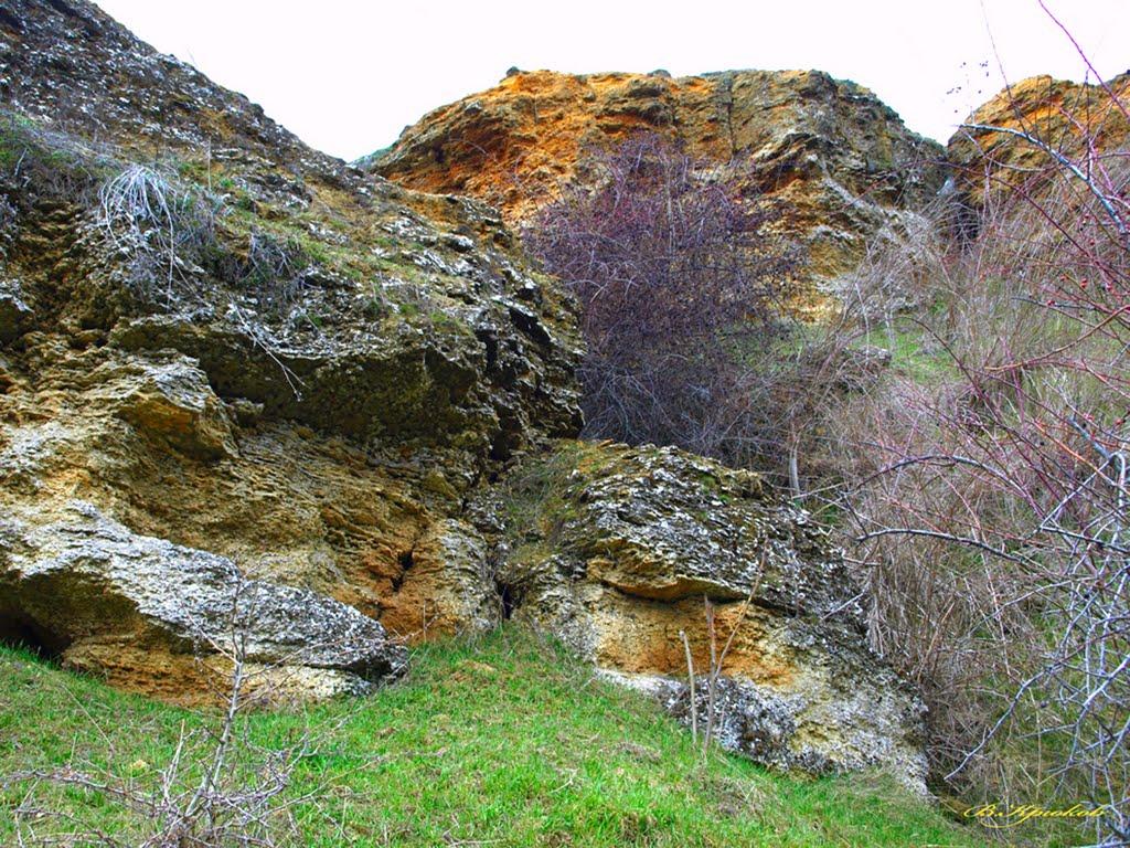 Миколаївка з panoramio.com - Миколаївка