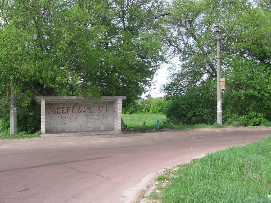Чернігів з panoramio.com (ч.5) - Чернігів