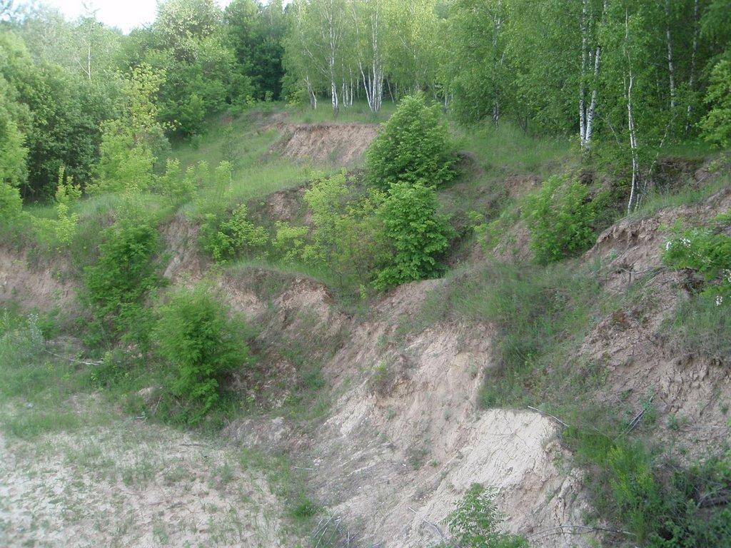 Срібне з panoramio.com - Сребное