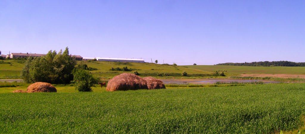 Печихвости з panoramio.com - Печихвости