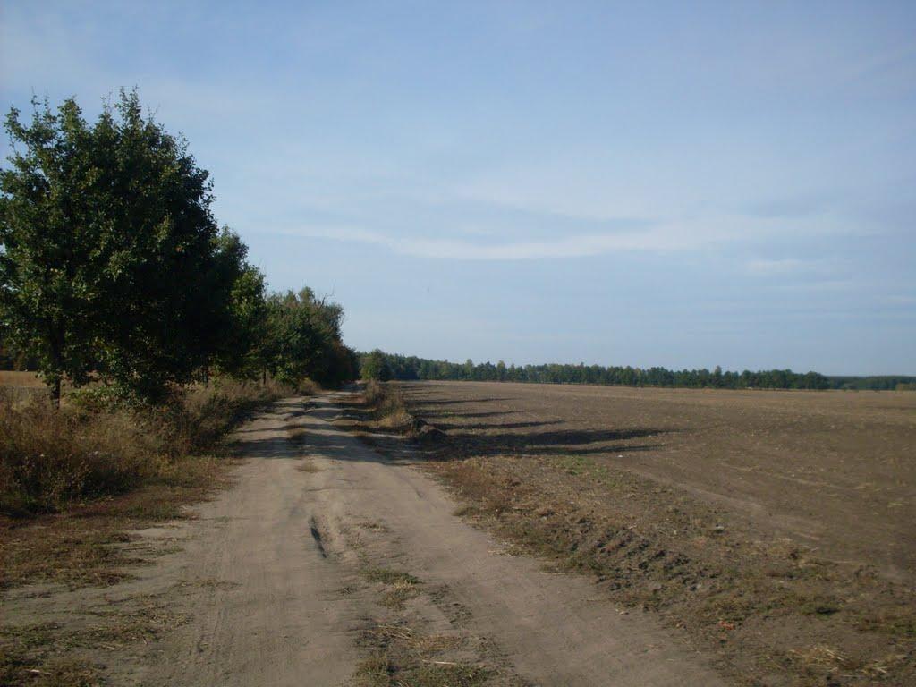 Городок з panoramio.com - Городок