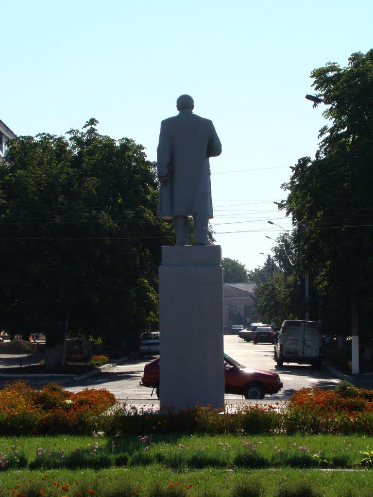 Кам'янка з panoramio.com - Каменка