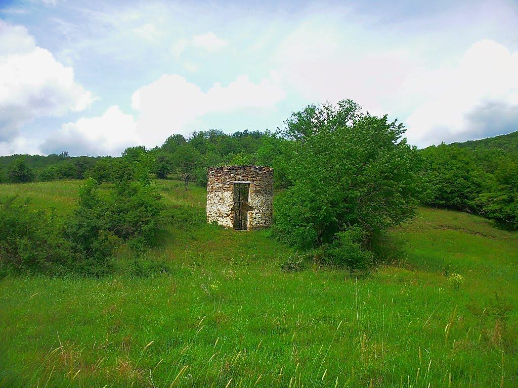 Щасливе з panoramio.com - Schaslyve