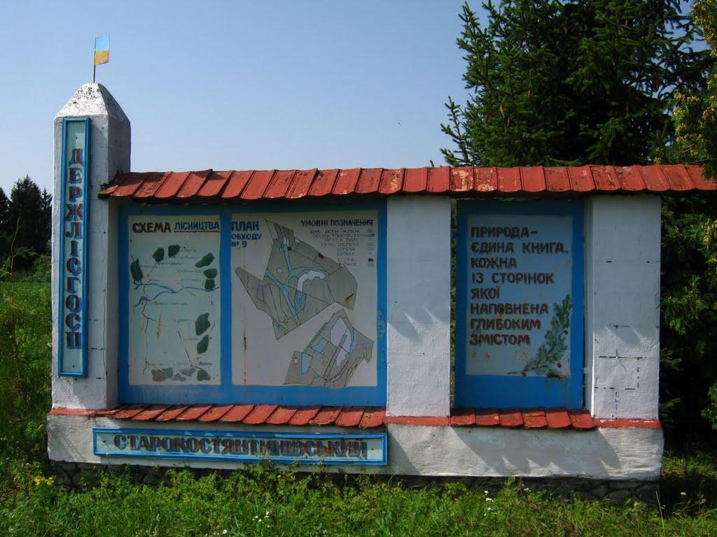 Вербородинці з panoramio.com - Вербородинцы