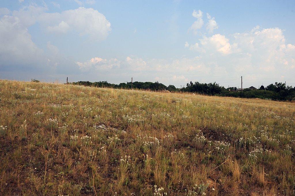 Родникове з panoramio.com - Родниково