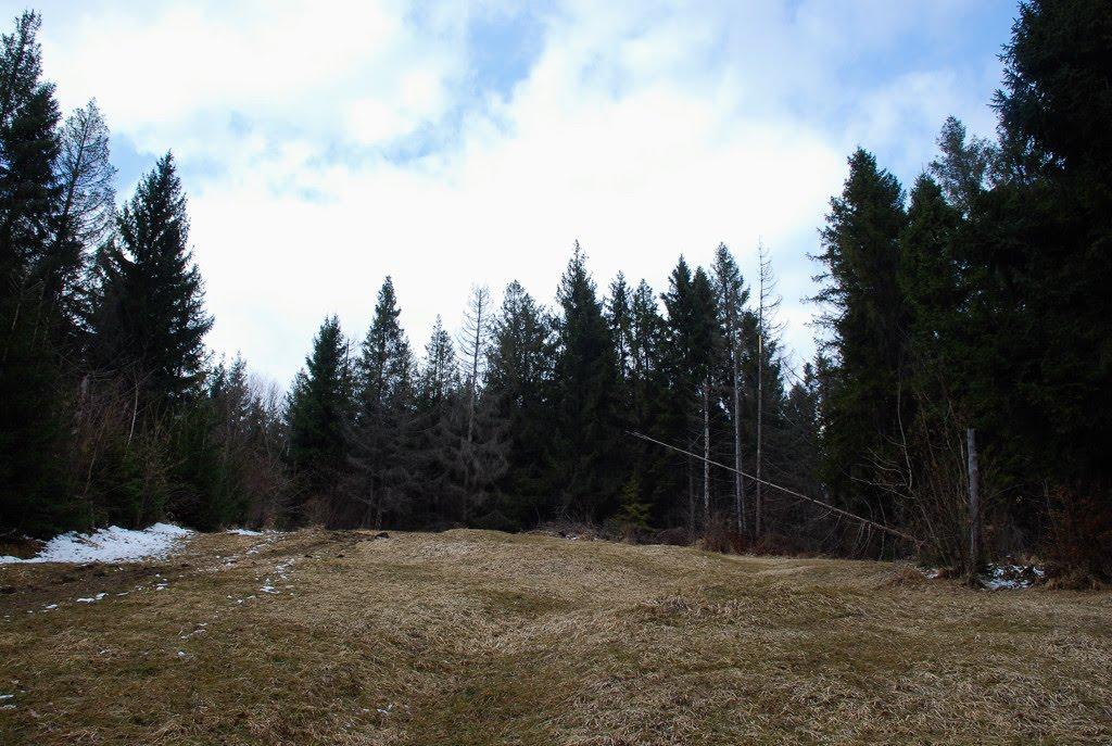 Делятин з panoramio.com - Делятин