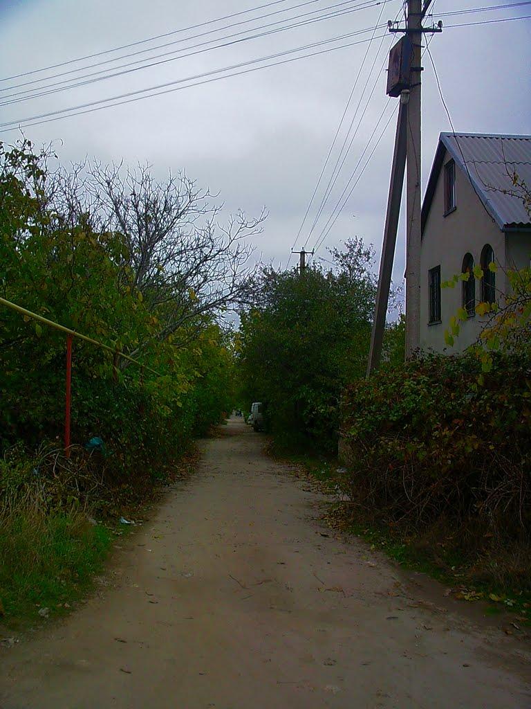 Трудове з panoramio.com - Trudove