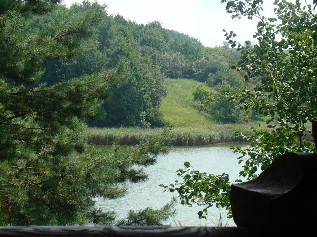 Демівщина з panoramio.com - Демовщина