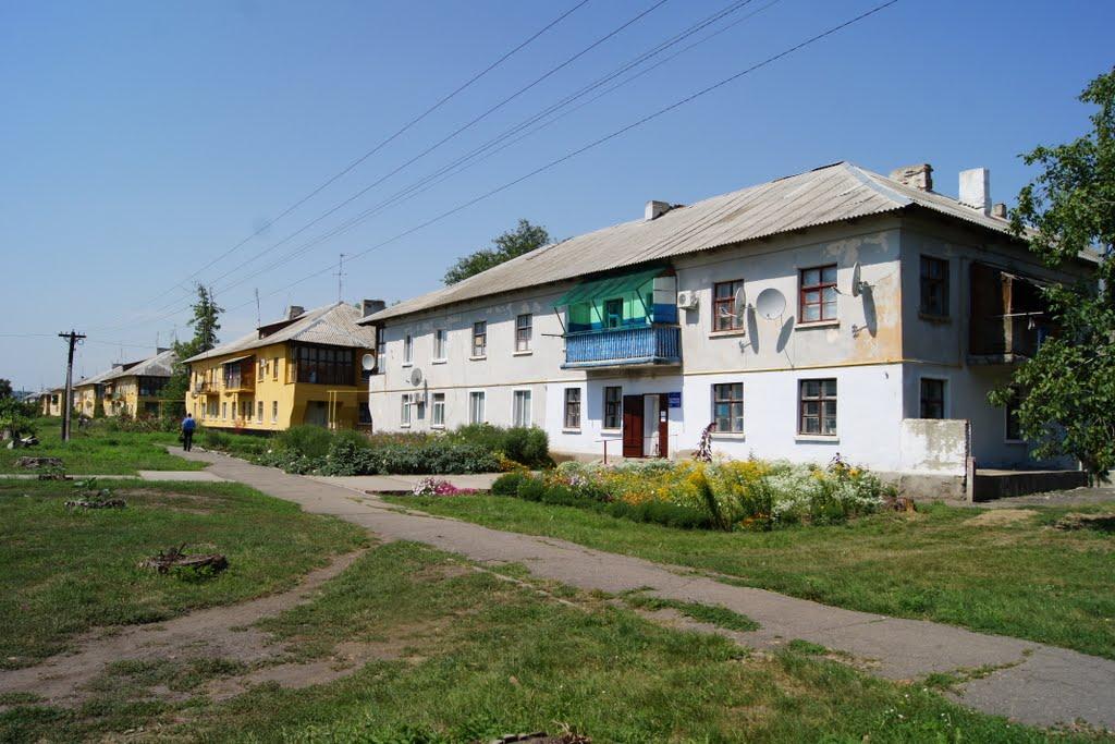 Мартинівське з panoramio.com - Мартиновское