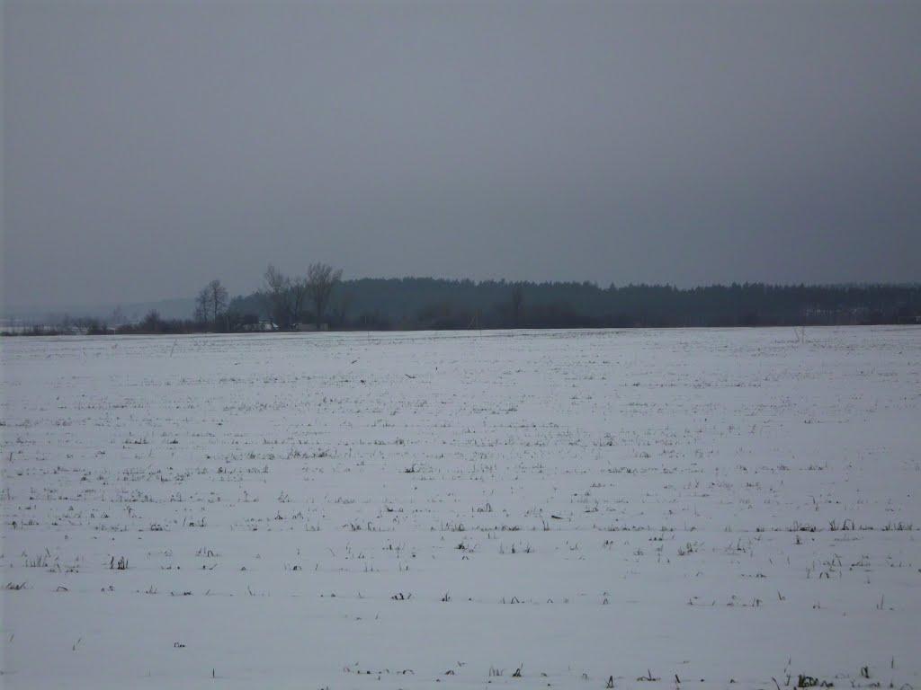 Жовтневе з panoramio.com - Жовтневое