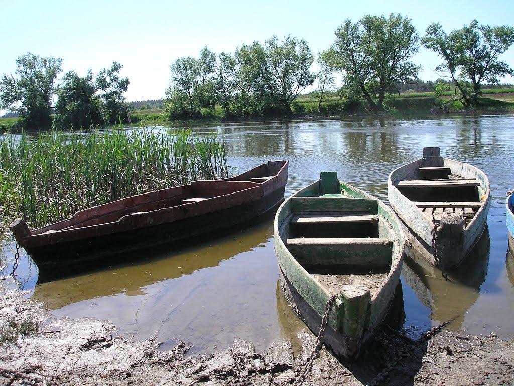 Чемерпіль з panoramio.com - Чемерполь