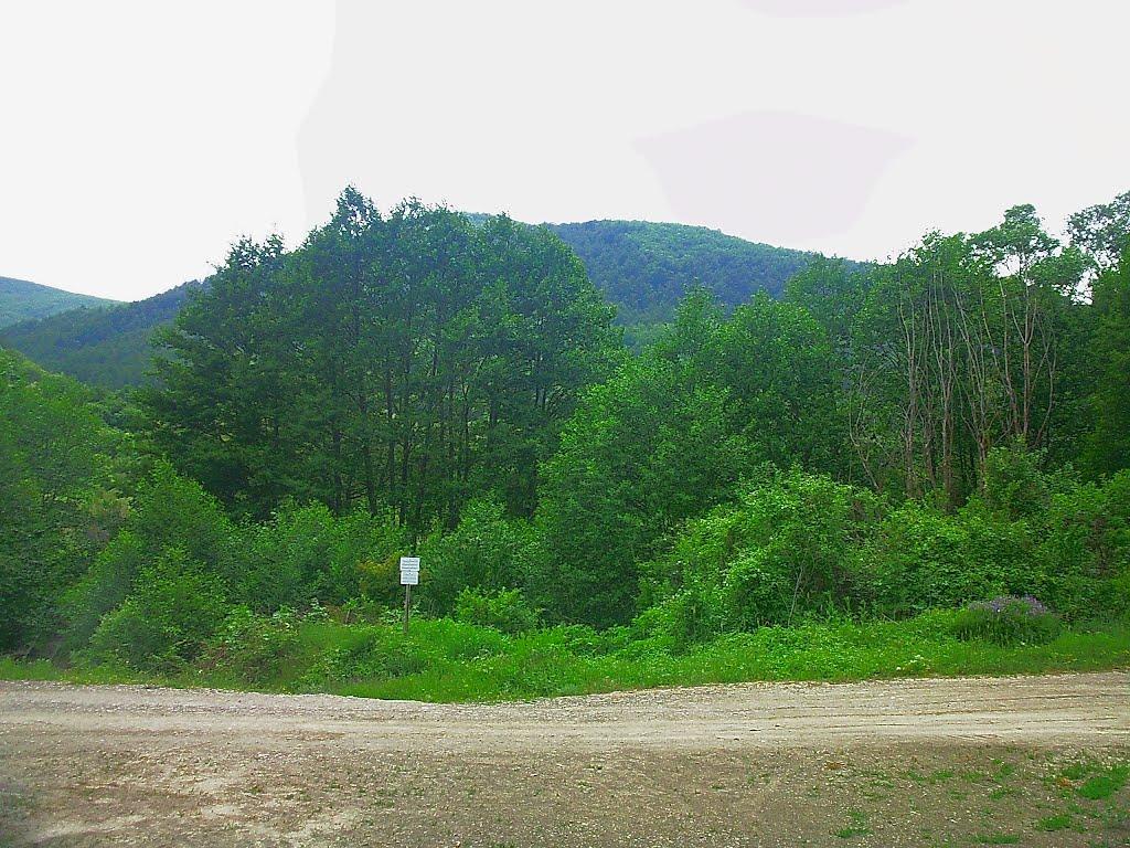 Щасливе з panoramio.com - Schaslyve