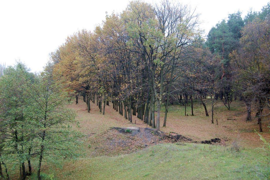 Кремінна з panoramio.com - Кременная
