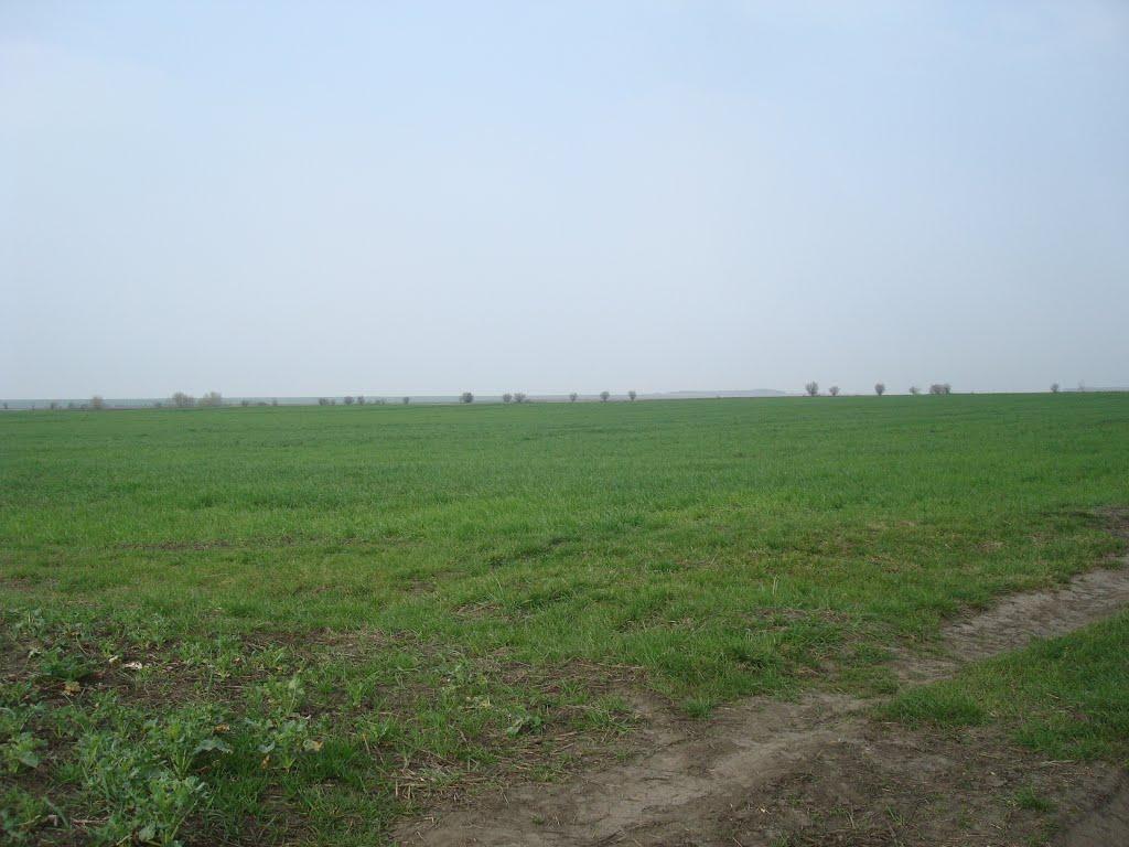 Великий Чернятин з panoramio.com - Великий Чернятин
