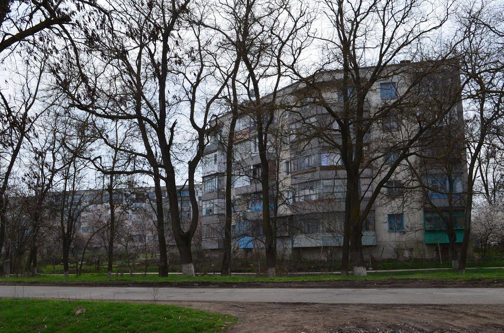 Амурське з panoramio.com - Амурське