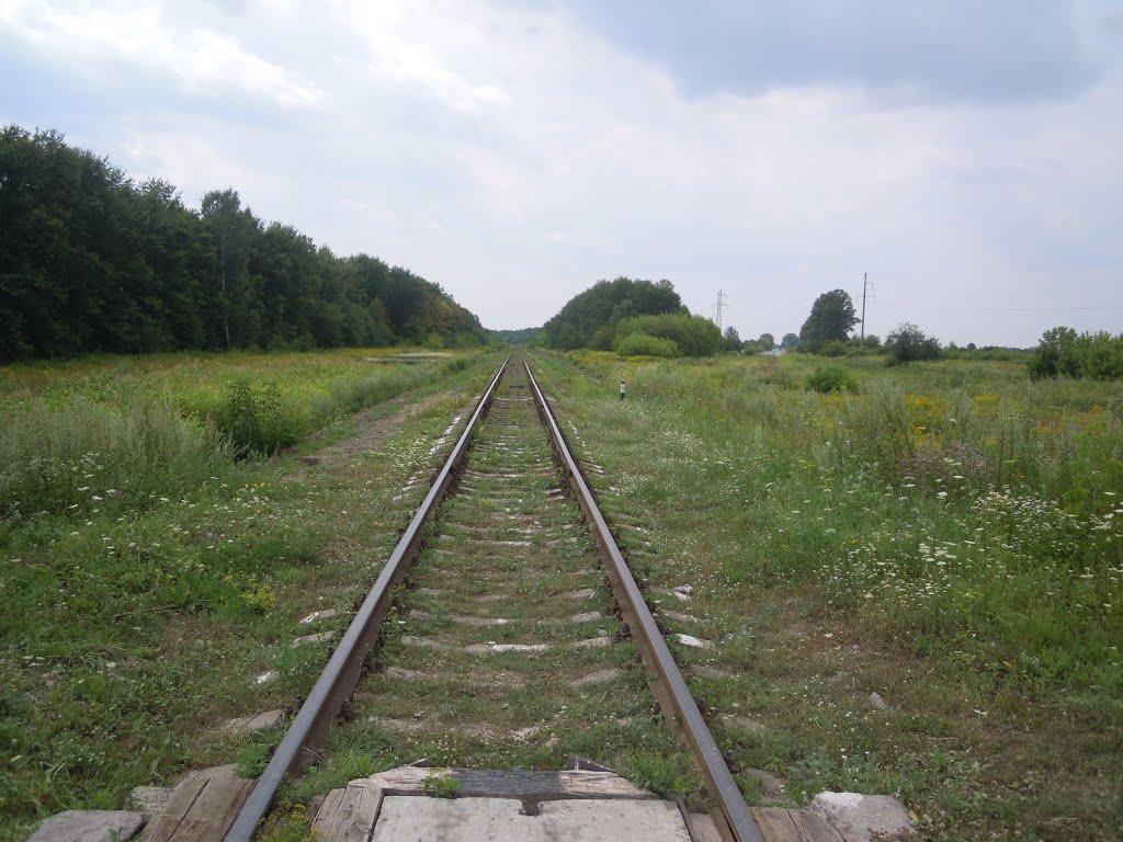 Припутенка з panoramio.com - Припутенка