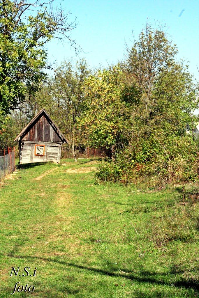 Тересва з panoramio.com - Тересва