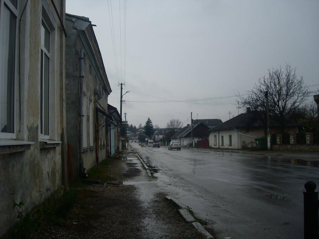 Підволочиськ з panoramio.com - Подволочиск