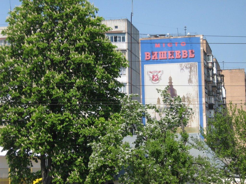 Вишневе з panoramio.com - Вишневое