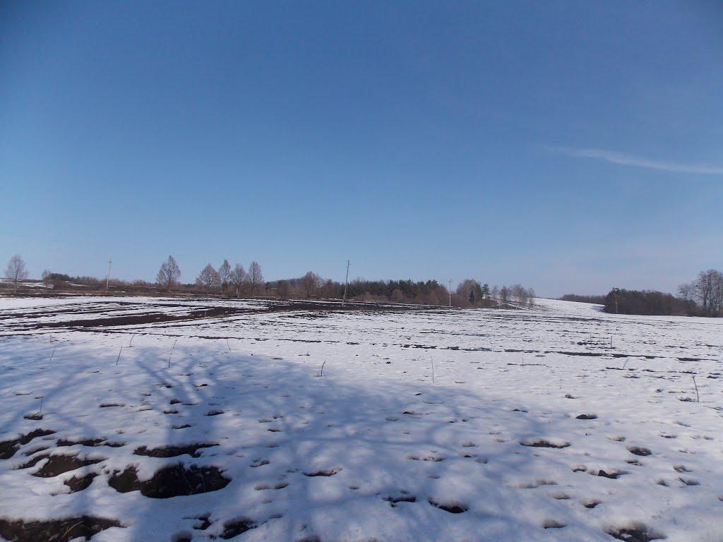 Млинки з panoramio.com - Млынки