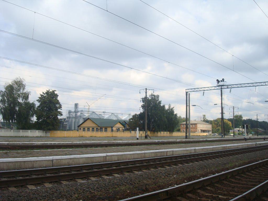 Славута з panoramio.com - Славута