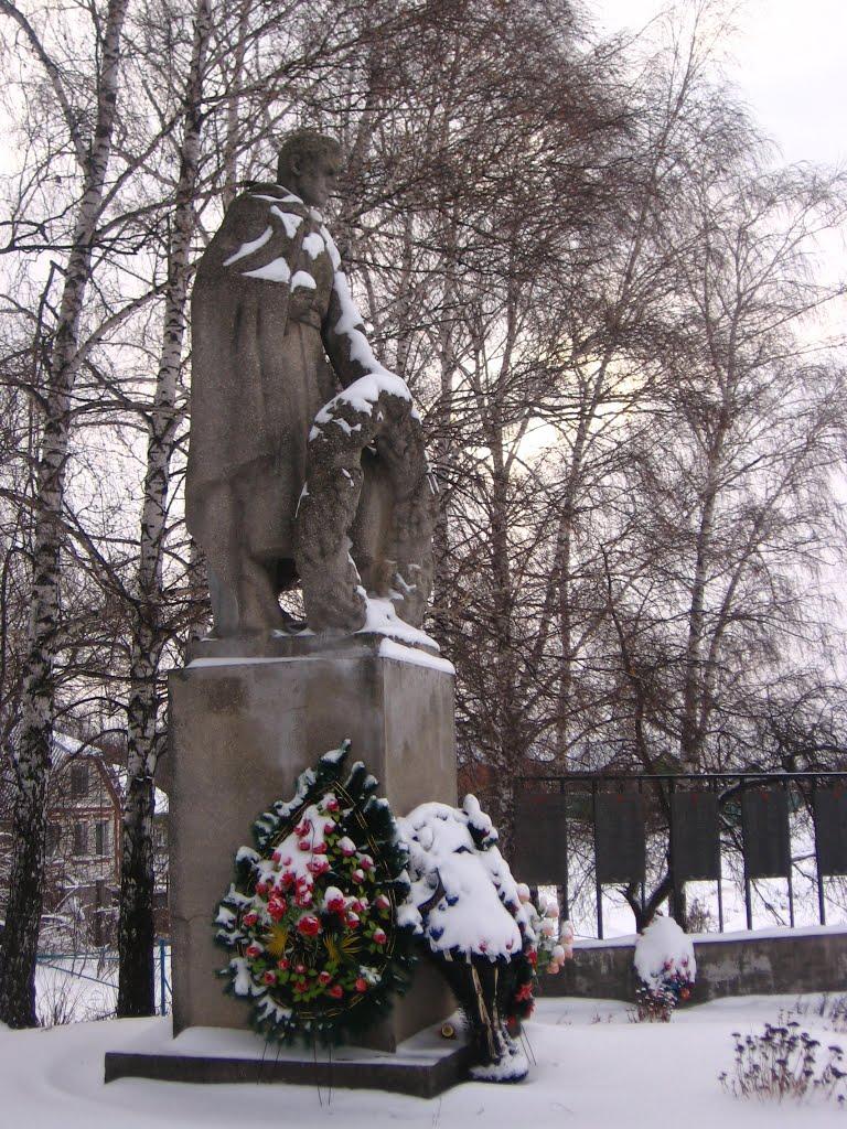 Молодова з panoramio.com - Молодовая