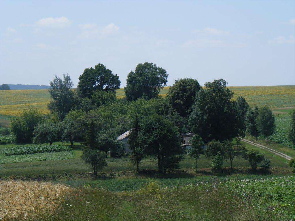 Великі Дедеркали з panoramio.com - Великі Дедеркали