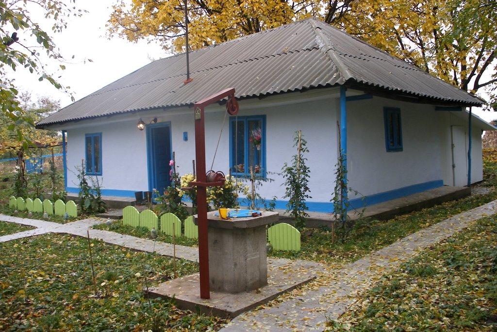 Мамалига з panoramio.com - Мамалыга