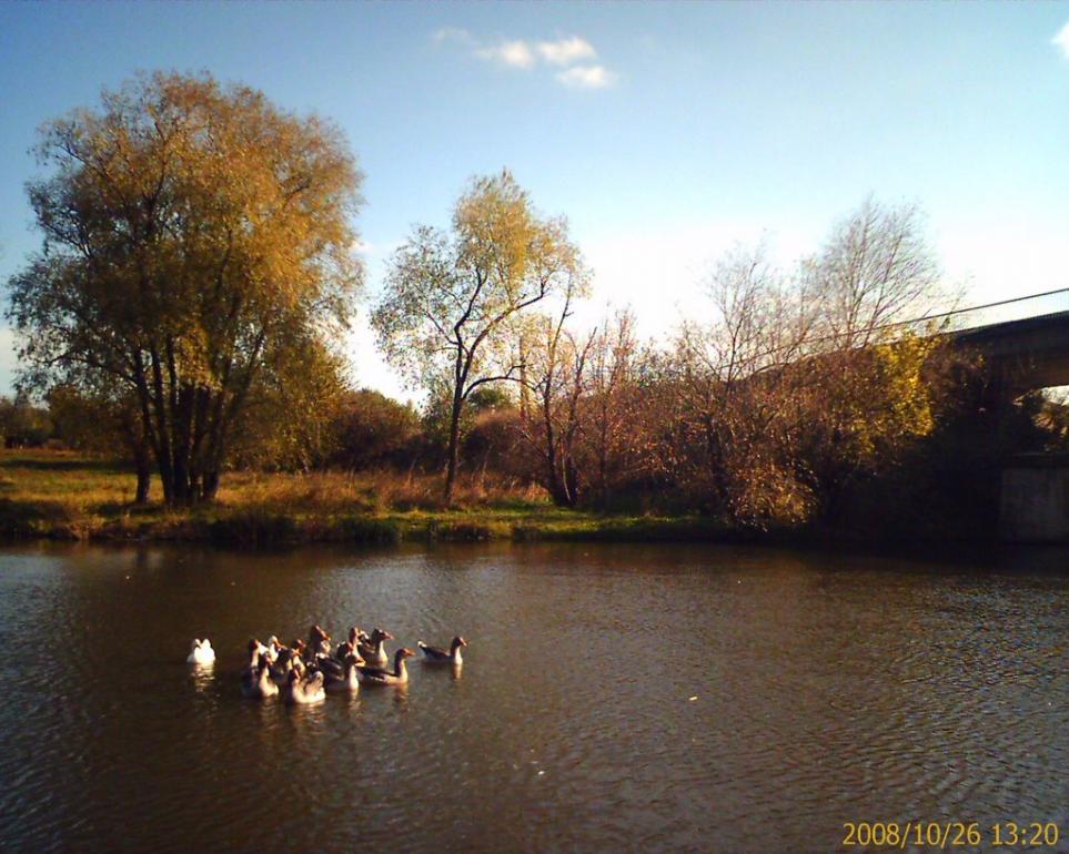 Гранітне з panoramio.com - Гранитное