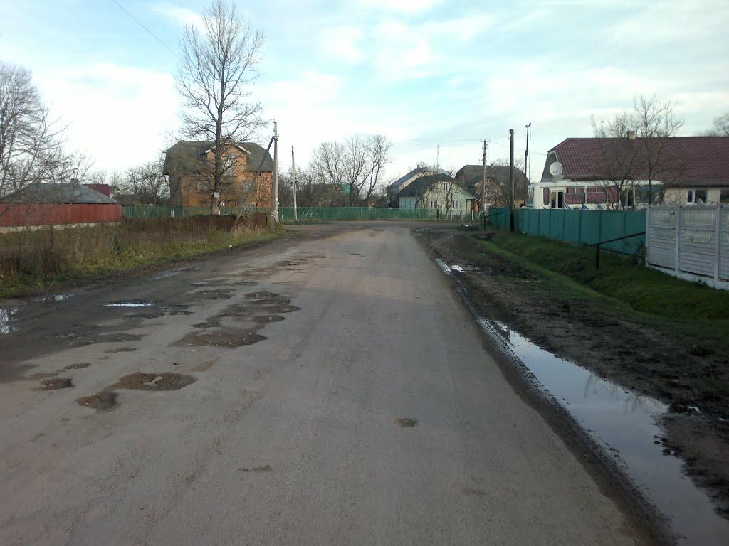 Бабина з panoramio.com - Бабина