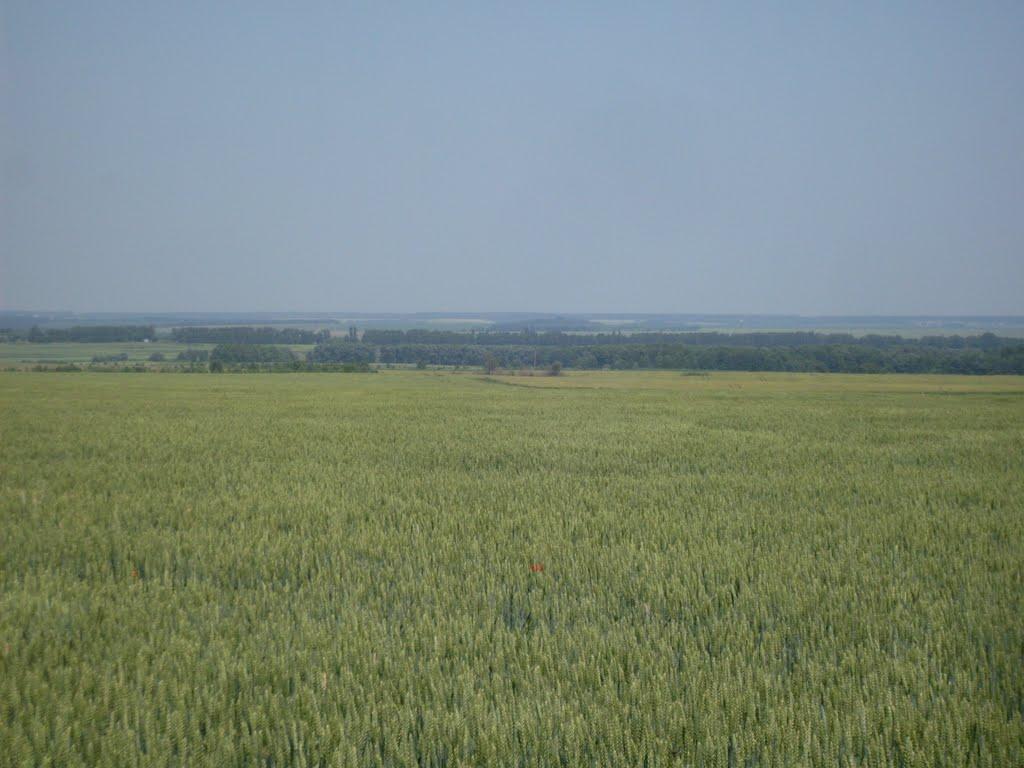 Городок з panoramio.com - Городок