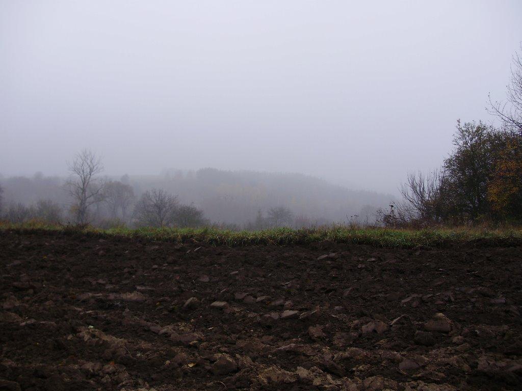 Ситники з panoramio.com - Ситники